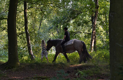 Herning Rideklub