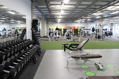 Fit&Sund Fysioterapi Ballerup