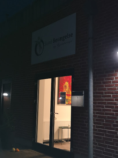 Sund bevægelse og fysioterapi