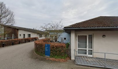 NeuroFysioterapien – genoptræning