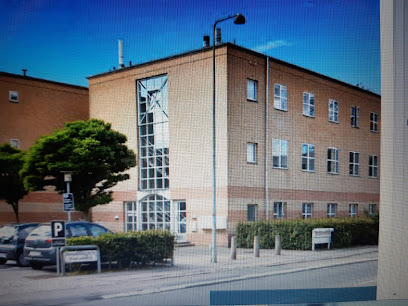 Lyngby Fysioterapi